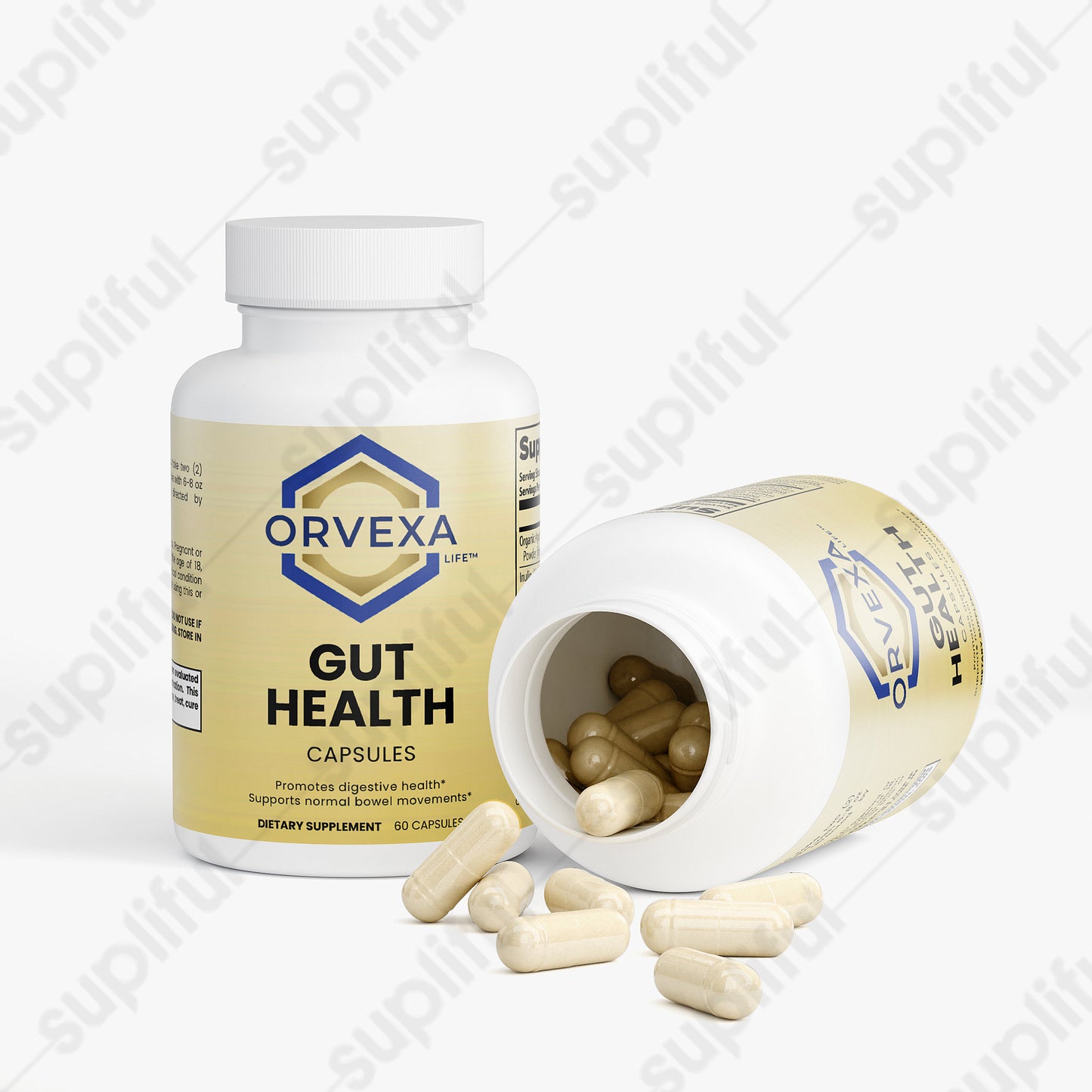 Gut Health