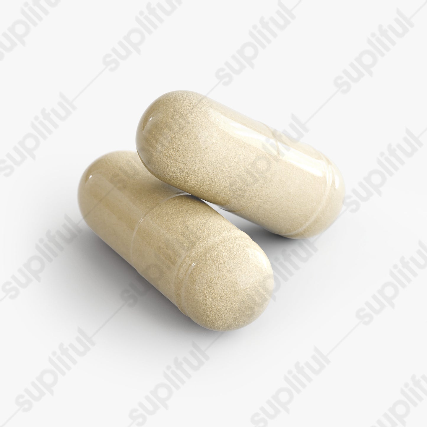 Gut Health